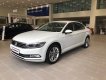 Volkswagen Passat Bluemotion 2018 - Volkswagen Passat Bluemotion đời 2018, nhập khẩu xe giao ngay tại Volkswagen Sai Gon