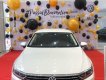 Volkswagen Passat Bluemotion 2018 - Volkswagen Passat Bluemotion đời 2018, nhập khẩu xe giao ngay tại Volkswagen Sai Gon