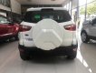 Ford EcoSport 2018 - Bán ô tô Ford EcoSport đời 2018, màu trắng, giá 593tr