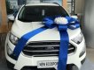 Ford EcoSport   2018 - Cần bán Ford EcoSport sản xuất 2018, màu trắng, giá chỉ 593 triệu