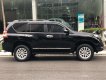 Toyota Prado TXL 2016 - Bán Toyota Prado TXL sản xuất 2016 màu đen, giá chỉ 2 tỷ 169 triệu, nhập khẩu nguyên chiếc