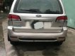 Ford Escape 4x4 XLT 2008 - Bán Ford Escape 4x4 XLT sản xuất 2008, màu hồng phấn