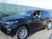 LandRover Discovery 2018 - Bán ô tô LandRover Discovery Sport 2018, màu xanh lục độc đáo 0932222253