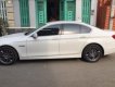 BMW 5 Series 528i 2010 - Bán xe BMW 528i năm 2010, màu trắng