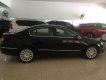 Volkswagen Passat 1.8L 2010 - Bán Volkswagen Passat 1.8L đăng ký 2010 nhập Đức