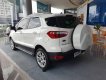 Ford EcoSport 2018 - Cần bán lại xe Ford EcoSport 2018, màu trắng 