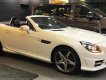 Mercedes-Benz SLK class SLK 350 2017 - Bán Mercedes Benz SLK 350 đời 2017 - Giá đặc biệt - Nhiều ưu đãi