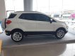 Ford EcoSport 2018 - Cần bán lại xe Ford EcoSport 2018, màu trắng 