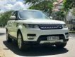 LandRover Sport 2014 - Bán xe LandRover Range Rover Sport HSE 2015