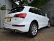 Audi Q5   2.0T   2009 - Cần bán Audi Q5 2.0T 2009, màu trắng số tự động