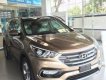 Hyundai Santa Fe 2018 - Cần bán Hyundai Santa Fe sản xuất 2018, màu nâu