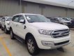 Ford Everest 2.0 biturbo 2019 - Lào Cai Ford, bán Ford Everest 2.0 biturbo 2019, nhập nguyên chiếc đủ màu giao ngay  