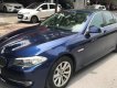 BMW 5 Series 523i 2010 - Bán BMW 5 Series năm 2010 màu xanh lam, giá 880 triệu, xe nhập, siêu đẹp