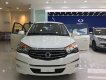 Ssangyong Stavic AT 2017 - Bán Ssangyong Stavic 9 chỗ nhập khẩu Hàn Quốc