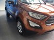 Ford EcoSport Ambiente 2018 - Bình Dương giá xe Ford Ecosport 2018 tốt nhất, giao tận nhà. LH 0188 3514 690