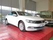 Volkswagen Passat S 2015 - Bán Passat S, xe nhập khẩu Đức, giá tốt nhất Việt Nam, LH: 0901933522 - Đừng mua xe khi chưa đọc tin này