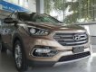 Hyundai Santa Fe   2018 - Bán Hyundai Santa Fe sản xuất 2018, màu nâu