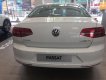 Volkswagen Passat bluemotion 2018 - Bán ô tô Volkswagen Passat bluemotion đời 2018, màu trắng, nhập khẩu