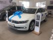 Volkswagen Passat bluemotion 2018 - Bán ô tô Volkswagen Passat bluemotion đời 2018, màu trắng, nhập khẩu