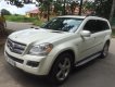 Mercedes-Benz GL Cũ Mercedes-Benz  320 2009 - Xe Cũ Mercedes-Benz GL 320 2009