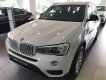 BMW X3   Xdrive 20i  2017 - Bán ô tô BMW X3 2017, màu trắng, xe nhập mới 100%