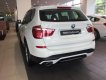 BMW X3 Mới   XDive 20i Twin Power Turbo 2018 - Xe Mới BMW X3 XDive 20i Twin Power Turbo 2018