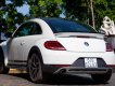 Volkswagen Beetle Mới   Dune 2018 - Xe Mới Volkswagen Beetle Dune 2018