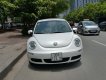 Volkswagen Beetle Cũ   1.6 AT 2010 - Xe Cũ Volkswagen Beetle 1.6 AT 2010