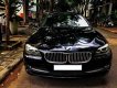 BMW 528i Cũ  5 2010 - Xe Cũ BMW 5 528i 2010