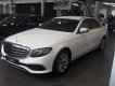 Mercedes-Benz E class E200 2018 - Bán Mercedes E200 2018, xe đủ màu giao ngay, hỗ trợ trả góp 90%. LH 0988.125.138