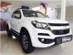 Chevrolet Colorado 2.8 High Country 2018 - Bán xe Chevrolet Colorado 2.8 High Country sản xuất năm 2018, màu trắng giá cạnh tranh