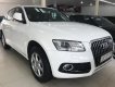 Audi Q5 Quattro 2016 - Bán ô tô Audi Q5 Quattro năm 2016,