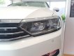 Volkswagen Passat Bluemotion 2017 - Volkwagen Passat dòng xe được bán chạy nhất thế giới, xe Đức nhập khẩu. Liên hệ để có giá sập sàn: 0942 050 350