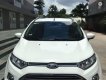 Ford EcoSport   2015 - Cần bán xe Ford EcoSport năm sản xuất 2015, màu trắng, 520tr