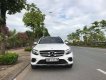 Mercedes-Benz GLC-Class 300 2017 - Bán Mercedes 300 năm sản xuất 2017, màu trắng, nhập khẩu