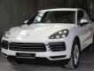 Porsche Panamera 2016 - Bán Porsche Panamera năm sản xuất 2016, màu trắng, nhập khẩu nguyên chiếc