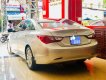 Hyundai Sonata Y20 2010 - Bán Hyundai Sonata Y20 sản xuất 2010, nhập khẩu nguyên chiếc xe gia đình