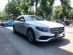 Mercedes-Benz E class E250  2016 - Cần bán xe Mercedes E250 2017, màu trắng