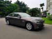 BMW 5 Series 520i  2013 - BMW 520i 2013 xe đẹp không một lỗi nhỏ