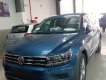 Volkswagen Tiguan E 2018 - Xe Volkswagen Tiguan 2018 – mẫu xe 5+2 đam mê không giới hạn – Hotline: 0909 717 983