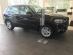 BMW X5 Xdrive 35i 2017 - BMW X5 2017 - mới 100% nhập khẩu nguyên chiếc - 0963367090