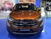 Ford EcoSport 1.5 AT  Ambient  2018 - Bán Ford EcoSport 1.5 AT Ambient đời 2018, màu cam