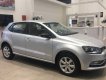 Volkswagen Polo 2015 - Bán Volkswagen Polo đời 2016, màu bạc, nhập khẩu giá cạnh tranh