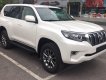 Toyota Prado 2.7L VX 2018 - Bán Toyota Land Cruiser Prado 2.7L VX (2018) nhập khẩu, giao xe sớm, hỗ trợ vay tới 85% giá trị xe, Hotline 0987404316