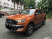 Ford Ranger 3.2L Wildtrak 4x4 AT 2016 - Chính chủ cần bán Ford Ranger 3.2 Wildtrak đời 2016 giá rẻ