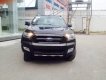 Ford Ranger Wildtrak 3.2 2018 - Bán Ford Ranger Wildtrak 3.2 đời 2018, hỗ trợ trả góp 80%, đăng kí đăng kiểm, giao xe tận nhà tại Điện Biên