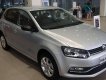 Volkswagen Polo 2015 - Bán Volkswagen Polo đời 2016, màu bạc, nhập khẩu giá cạnh tranh