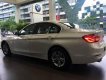 BMW 3 Series  320i   2018 - Cần bán xe BMW 320i đời 2018, màu trắng