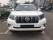 Toyota Prado 2.7L VX 2018 - Bán Toyota Land Cruiser Prado 2.7L VX (2018) nhập khẩu, giao xe sớm, hỗ trợ vay tới 85% giá trị xe, Hotline 0987404316