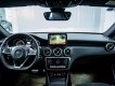 Mercedes-Benz A Cũ Mercedes-Benz  250 2016 - Xe Cũ Mercedes-Benz A 250 2016